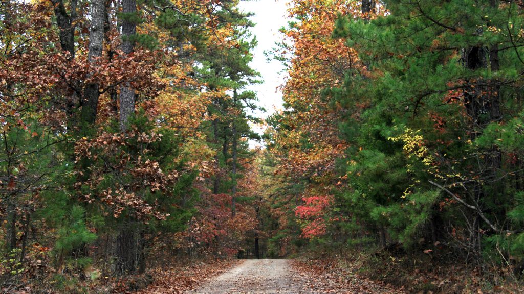 Home Pyatt, AR South Shore
